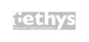 logo-tethys-busajo1